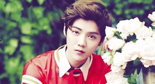 杨紫李现肖战最新爆料,揭秘明星幕后故事与情感纠葛  第3张